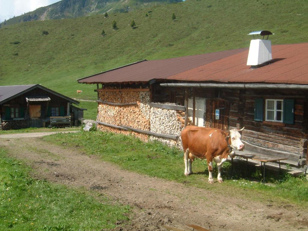 Haus Brugglbach Apartment Kirchberg in Tirol Luaran gambar