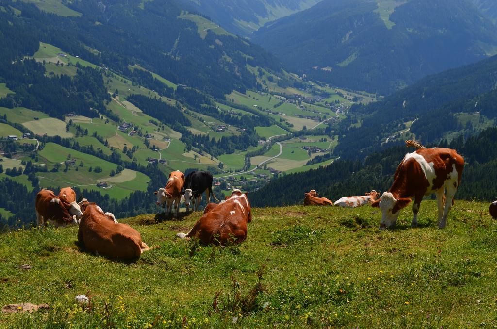 Haus Brugglbach Apartment Kirchberg in Tirol Luaran gambar